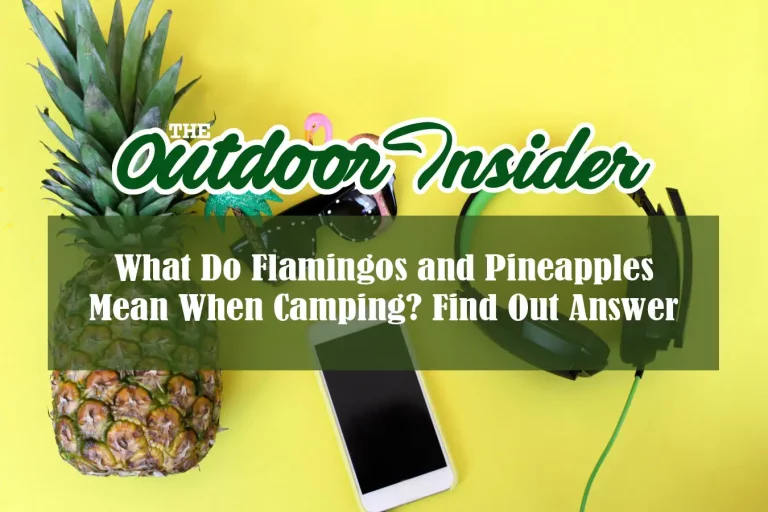 What Do Flamingos and Pineapples Mean When Camping? Find Out Answer Here
