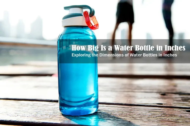 How Big Is a Water Bottle in Inches