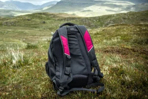 A Standard Backpack