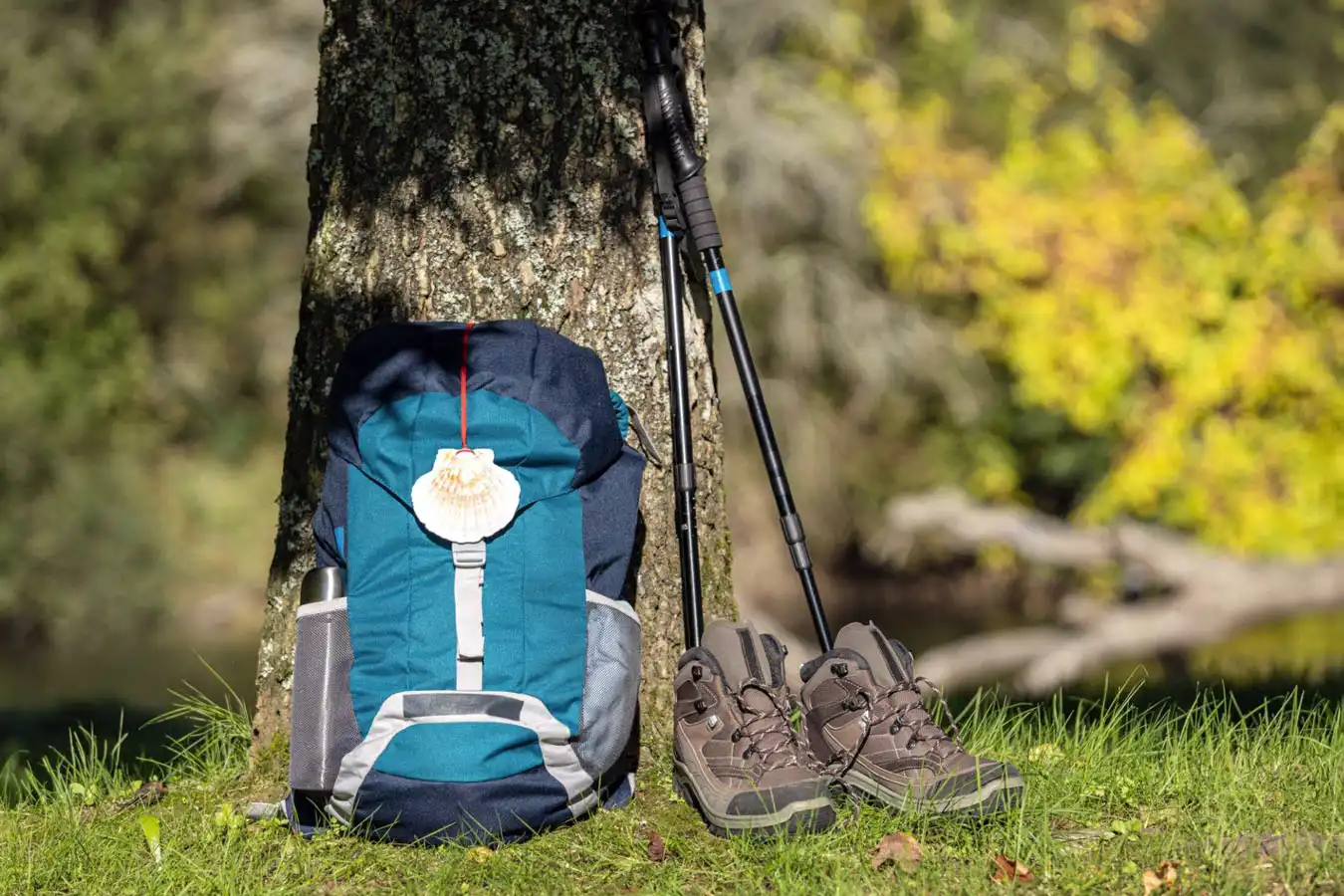 Attach Trekking Pole to Backpack