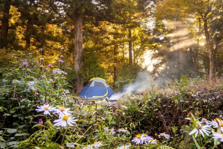 Late Spring Camping
