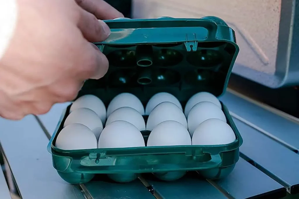 Stansport Egg Container