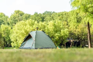 Summer Camping