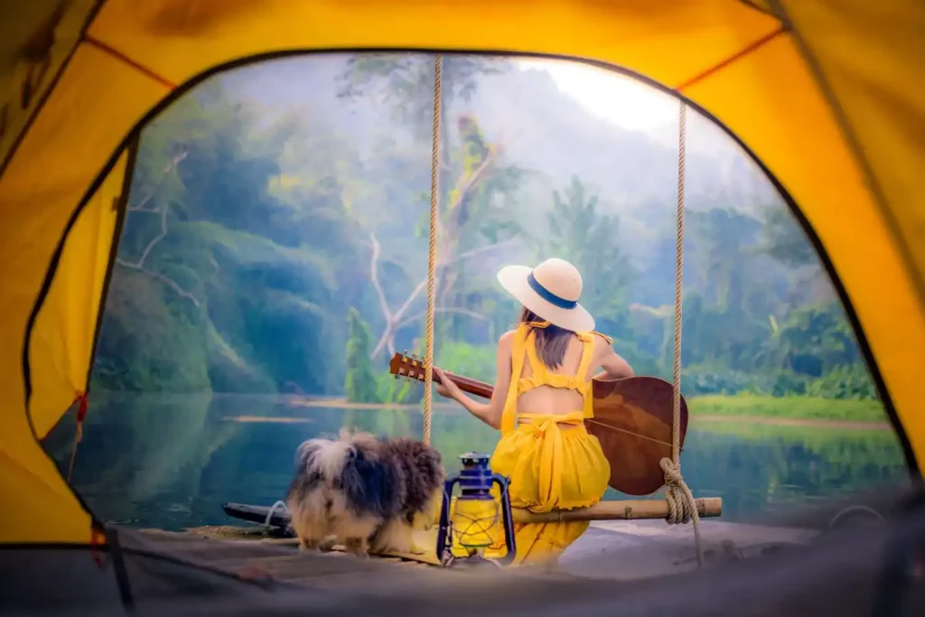 Summer camping with pet