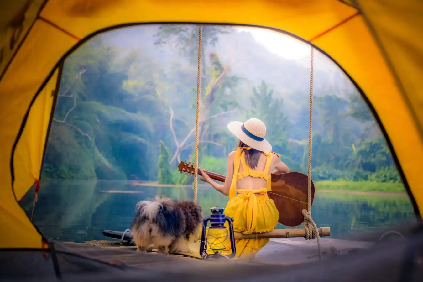 Summer camping with pet