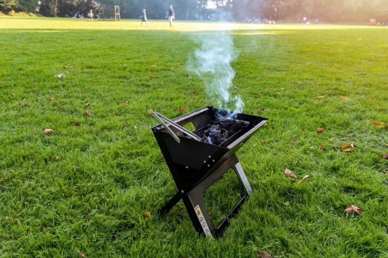 How to Use a Charcoal Grill at a Park
