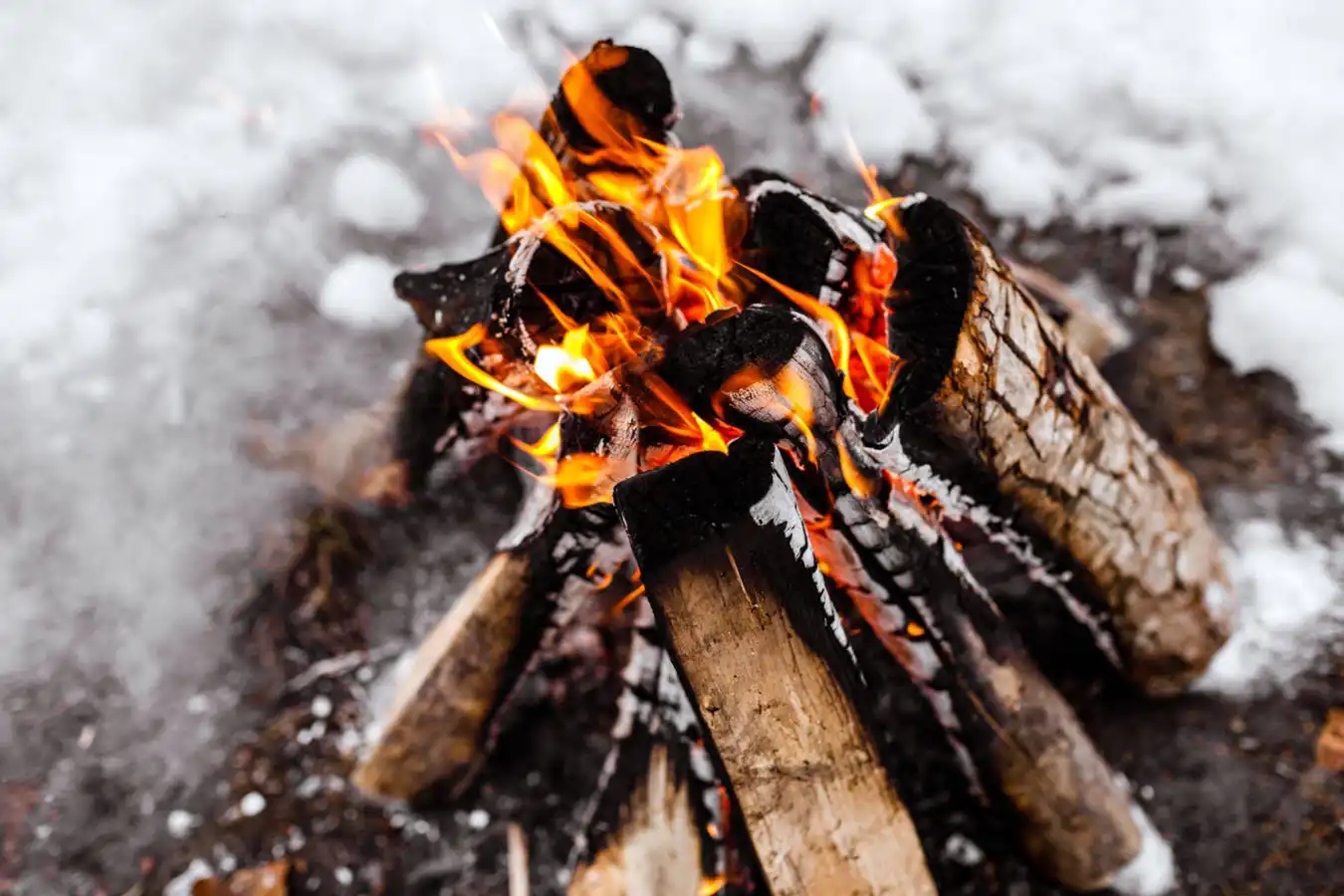 Firewood burning in cold winter Snow