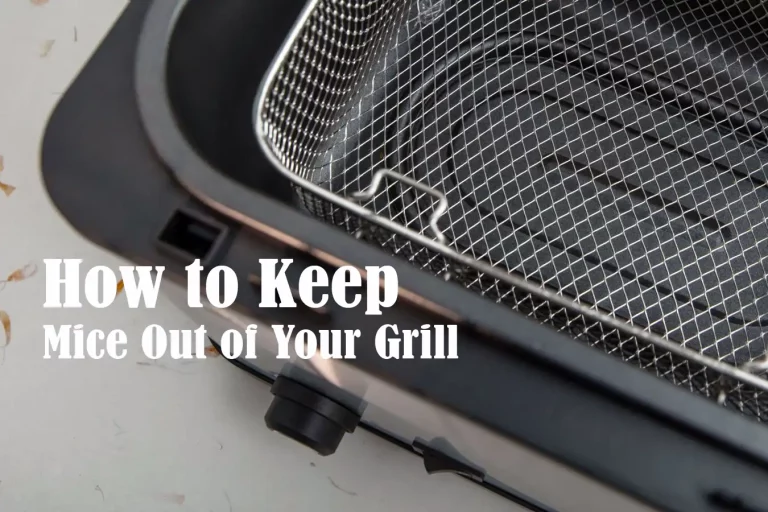How to Keep Mice Out of Your Grill