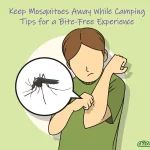 How to Keep Mosquitoes Away While Camping: Tips for a Bite-Free Experience