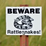 Keep Snakes Away from Campsite