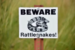 Keep Snakes Away from Campsite