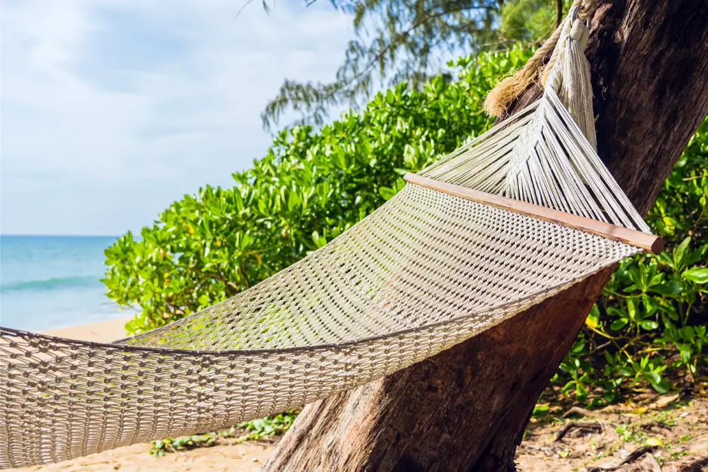 Traditional Hammock