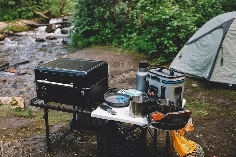 Traeger Grills Ranger Portable Wood Pellet Grill