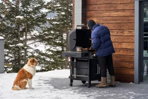 Grill Without Charcoal or Wood