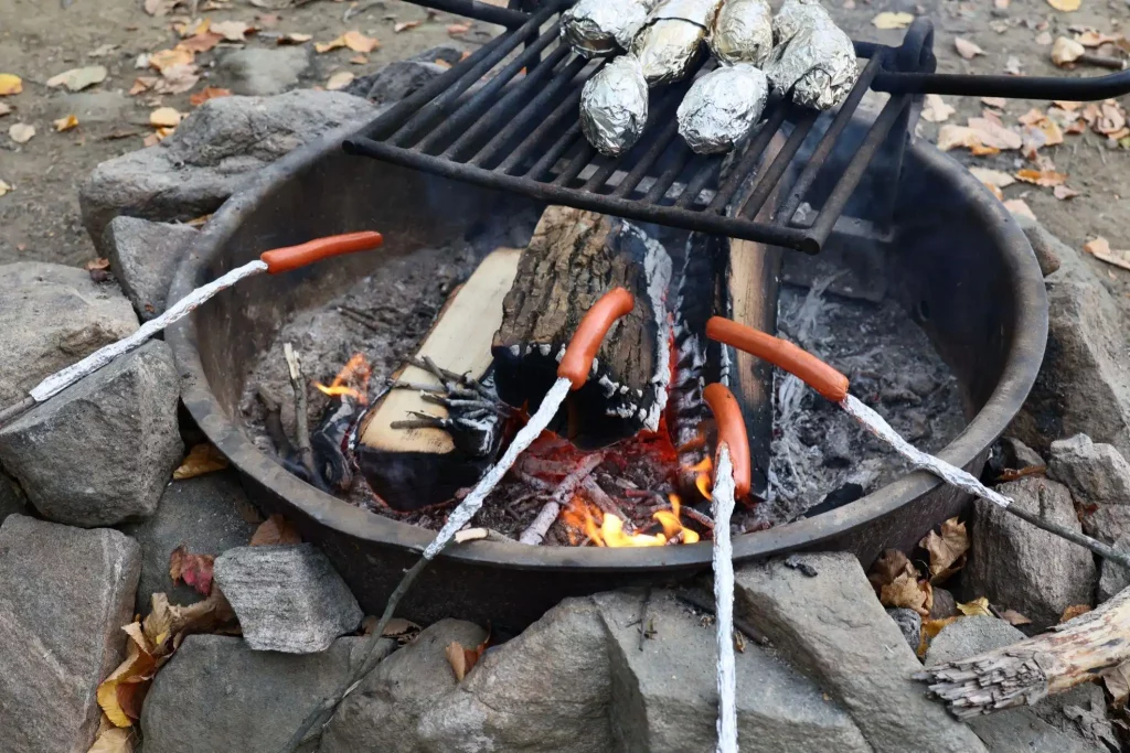 Campfire Grilling