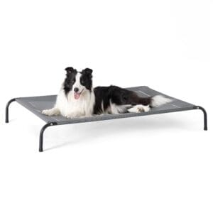 Best Camping Dog Bed