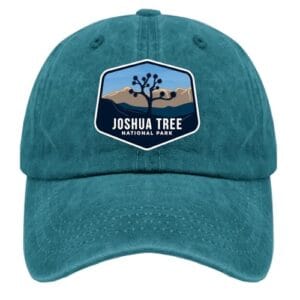 Best Camping Joshua Tree