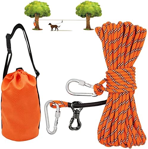 Best Dog Lead for Camping