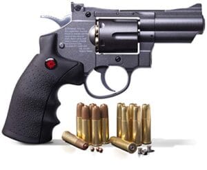 Best Gun for Camping