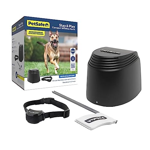 Best Wireless Dog Fence for Camping